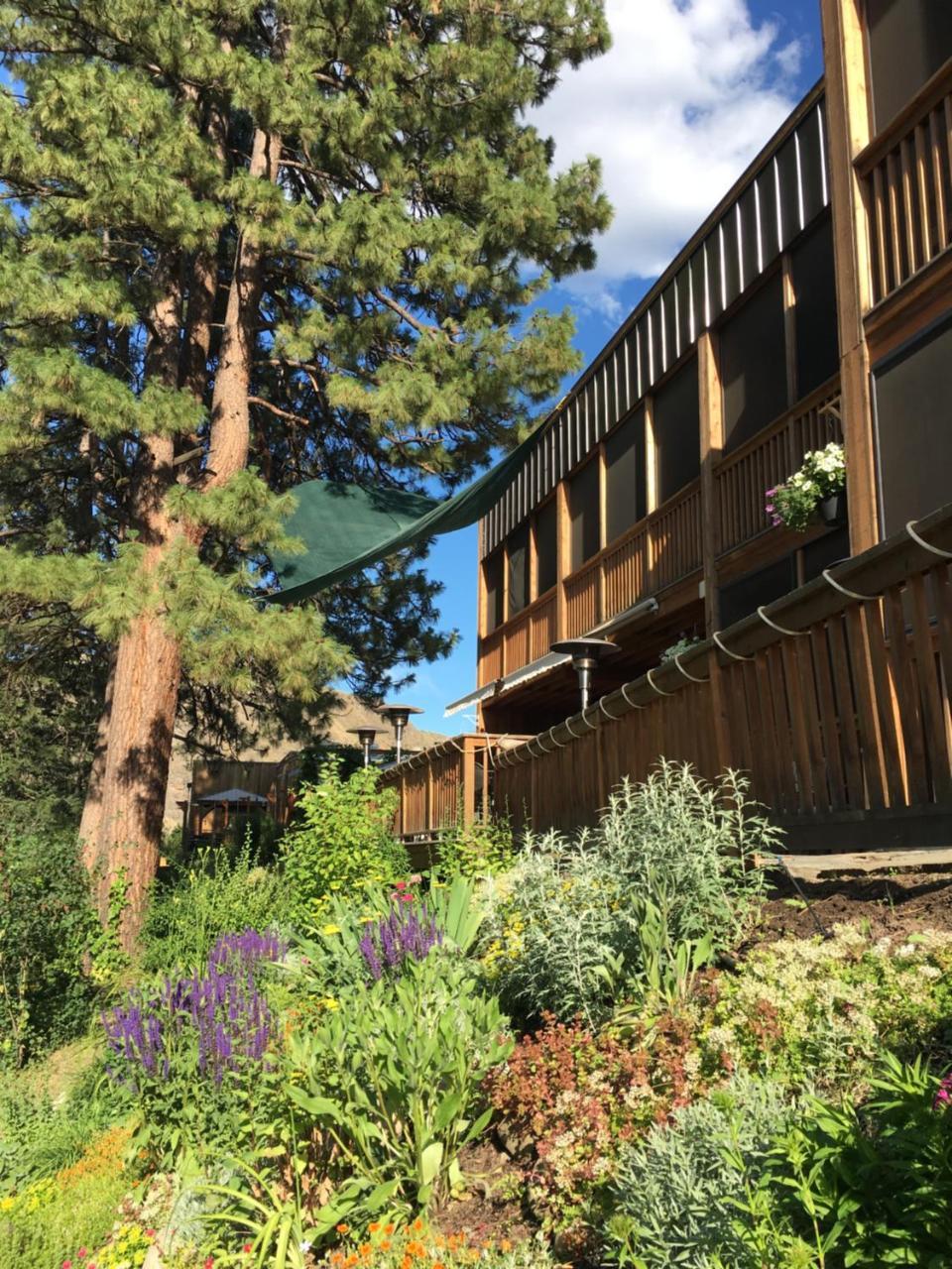 Twisp River Suites Extérieur photo